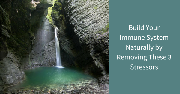Build Your Immune System Naturally 