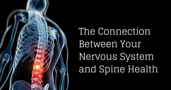 nervous system and spine health