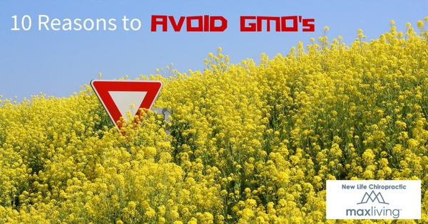 10 Reasons to Avoid GMO’s top image