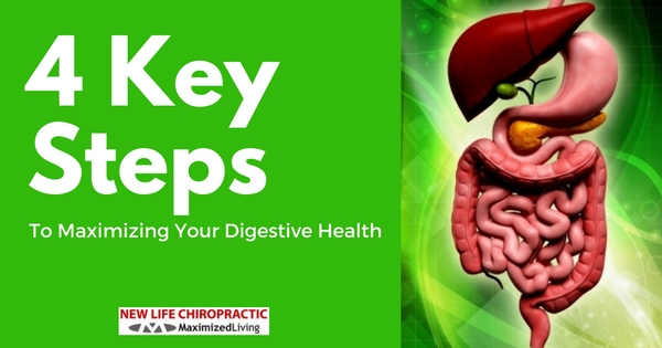 Maximize Your Digestive Health with these 4 steps