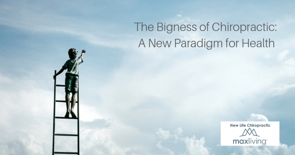 The Bigness of Chiropractic: A New Paradigm for Health top image
