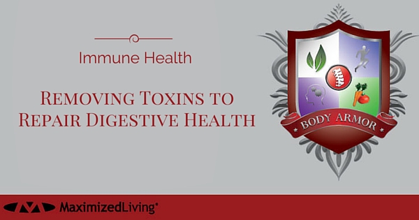 toxins and digestive health