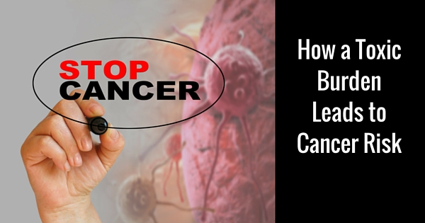 toxic burden and cancer risk