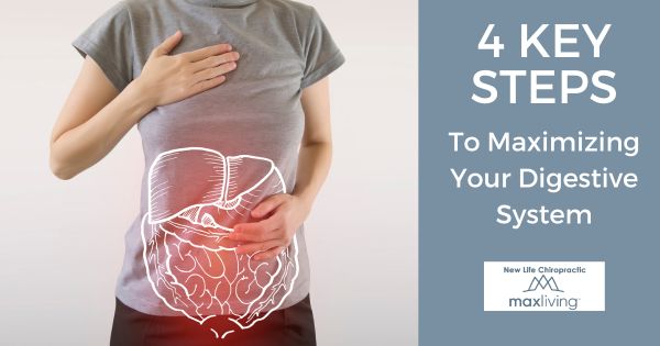 4 Steps to a Healthy Gut