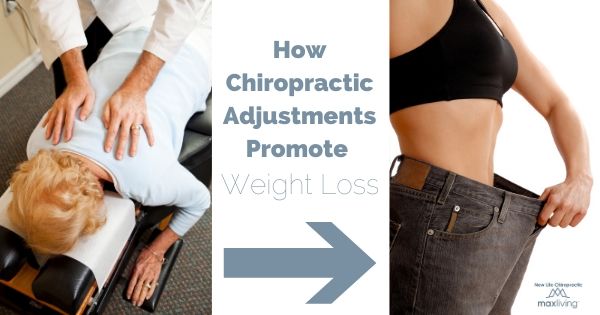 a chiropractic adjustment can promote weight loss