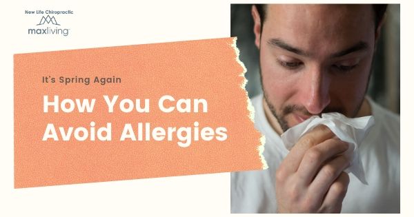 how to avoid Spring Allergies