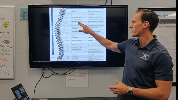 shoulder pain nervous system diagram